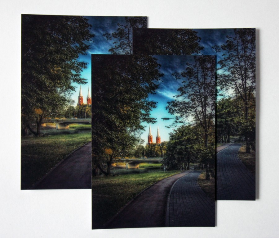 113